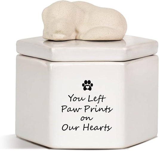 Dog Memorial Keepsake Box, Dog Urns for Ashes, Dog Memorial Gifts for Loss of Dog Sympathy Gift, Hair Container Remembrance Pet Loss Sympathy Gifts, Rainbow Bridge(Ceramic)