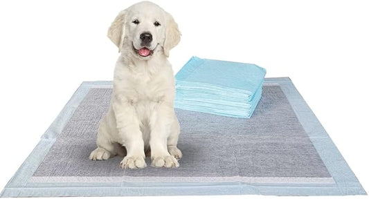 BV Charcoal Puppy Pads XL 320 Count 34"x28" - Leak-Proof Pee Pads for Dogs with 6-Layer Absorbent Design & Built-in Attractant - Dog Pad Extra Large with Charcoal for Odor Control - for Large Dogs