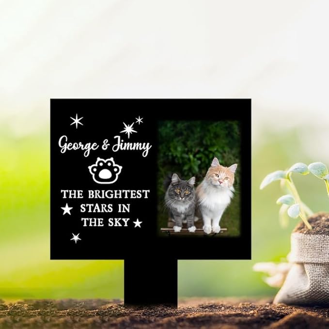 Personalized Cat Memorial Stake Custom Cat Photo The Brightest Stars in The Sky Metal 12x12 inch Pet Grave Marker Cat Loss Gift Sympathy Gift for Cat Lover (Style 5)