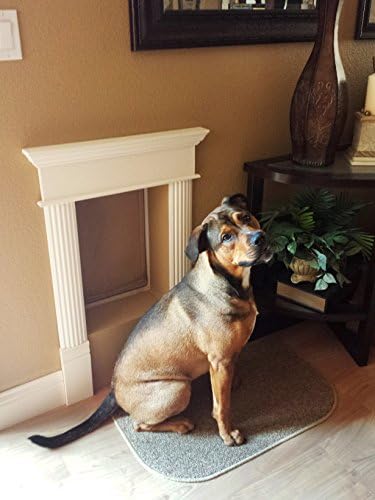 Ranger by Freedom Pet Pass Insulated Dog Door for Walls - M