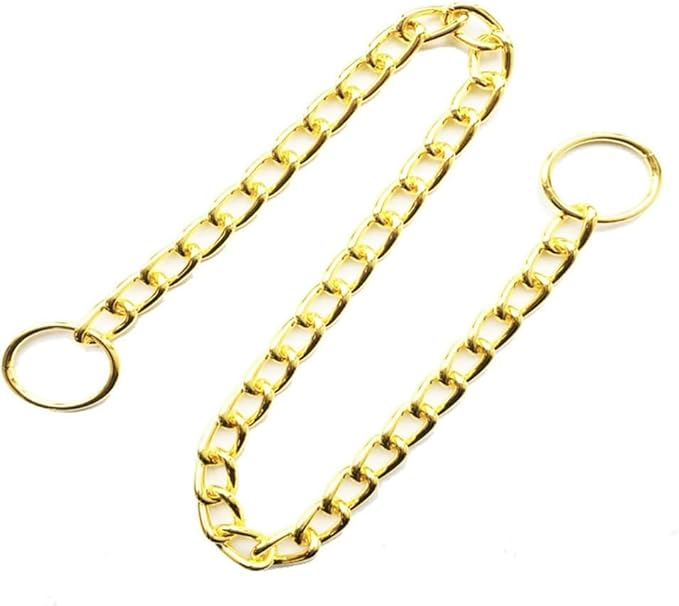 Dog Choke Collar Slip P Chain,Heavy Chain Dog Metal Training Choke Collars, Martingale Puppy Collars for XS Small Medium Large Big XL Breed Dogs (Gold, S(Neck Max 16inch) D2.5mm)