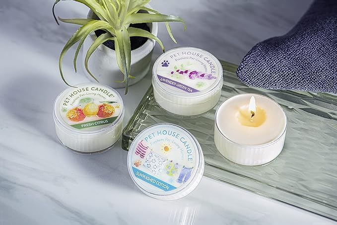 Pet House Mini Candles for Pet Odor Made with Natural Soy Wax, Plant Based, Dog and Cat Friendly Scented, Apple Cider Pack of 3