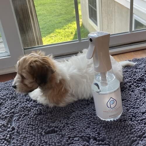 PUREFY Pet Spray (24oz) Clean away pet matters and pet urine from the environment. Pet Odor Eliminator. Unscented. No Residue.