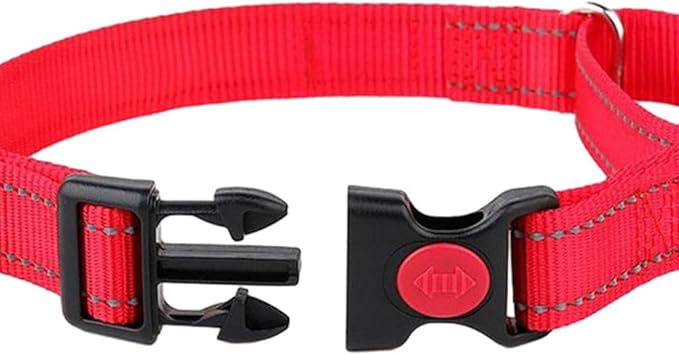 Martingale Collar for Dogs with Buckle, Reflective Dog Choke Collar Escape Proof No Pull Cinch Dog Training Collars Adjustable for Small Medium Large XL Breed Pet Dogs, Light Blue L