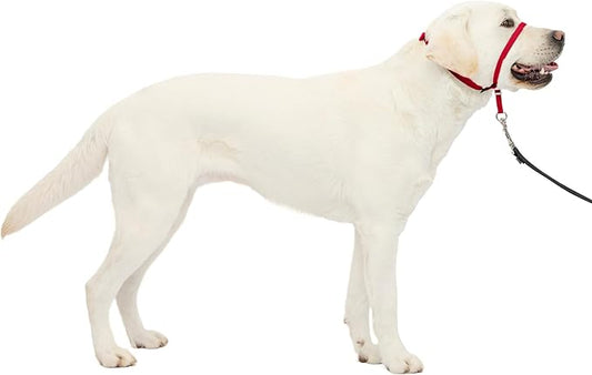 PetSafe Gentle Leader Headcollar No-Pull Dog Collar - Helps Improve Walks - Durable Nylon Construction - Padded Nose Loop - Adjustable Fit - Comfort Walking Halter - Large, Red