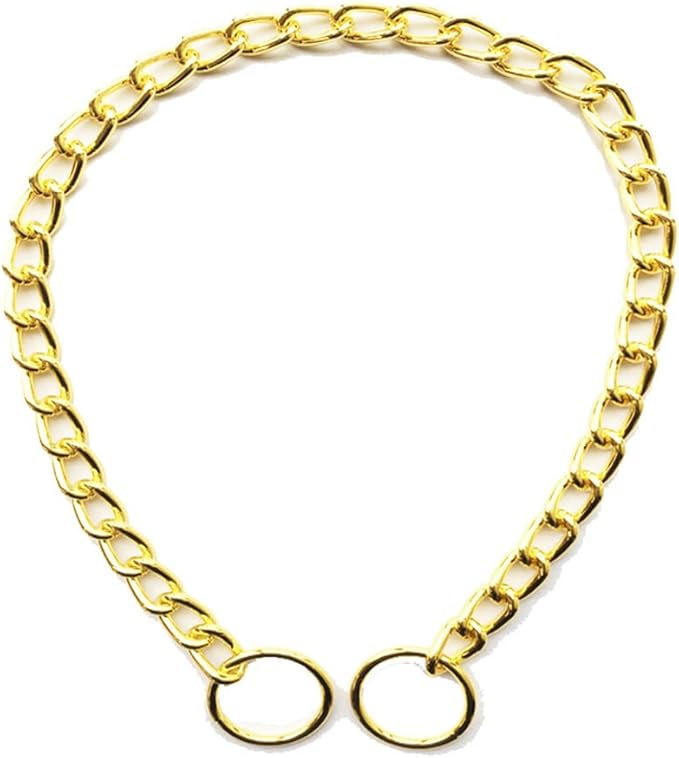 Gold Chain Choke Collar for Medium Dogs, 2Pack Heavy Duty Training Collar for Dogs Metal Slip P Link Martingale Collars for XXS XS Small Medium Large Dogs Puppy, S