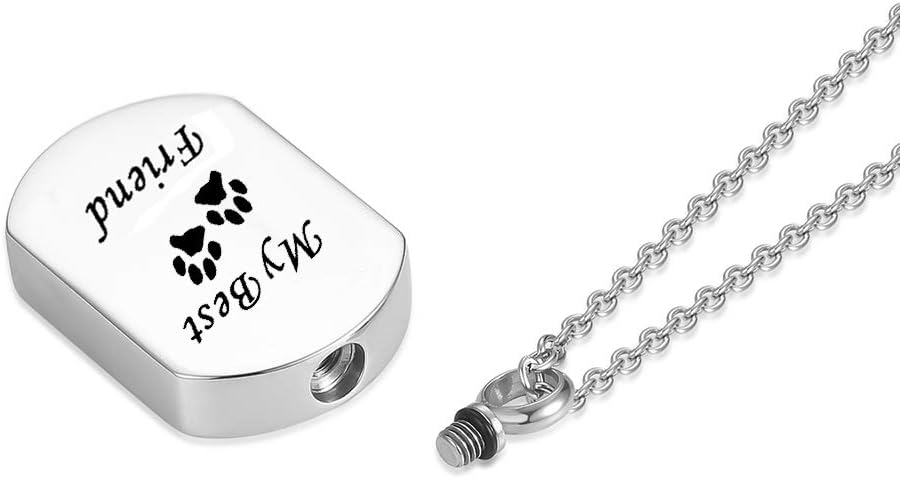 Cremation Jewelry for Ashes for Pet Stainless Steel Keepsake Waterproof Memorial Pendant Ash Holder Paw Print Urn Necklace for Cat Dog's Ashes with Filling Kit