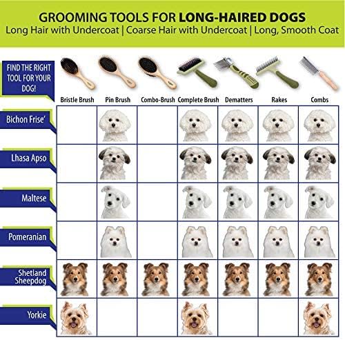 Coastal Pet Safari Comfort Grip Curry Brush for Dogs - Dog Bath and Shampoo Brush and Massager for Indoor & Outdoor Dogs with Short Hair - One Size