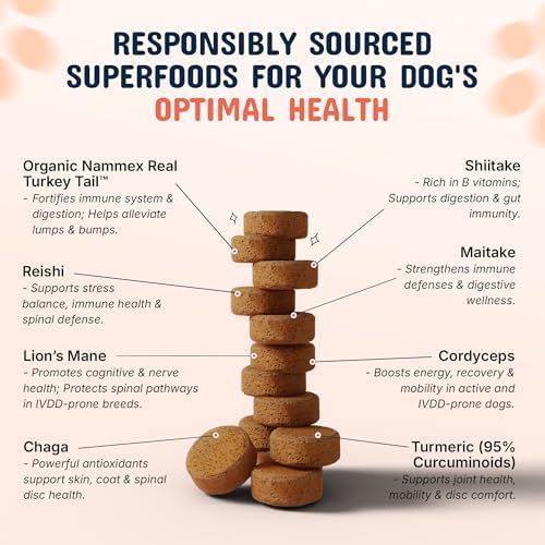 Pets are Kids Turkey Tail Mushroom for Dogs with Organic Real Turkey Tail™ - 8:1 Extract Mushroom Chews for Lumps & Bumps, Immunity, Gut, Skin, Joint & Spine Support - Reishi, Lion’s Mane - 120 Chews