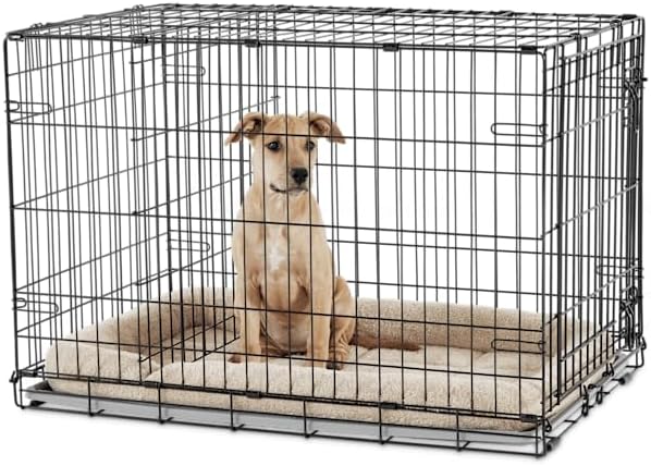 EveryYay by Petco 1-Door Dog Crate Medium 30" L X 19.1" W X 21.5" H Black: No Handles
