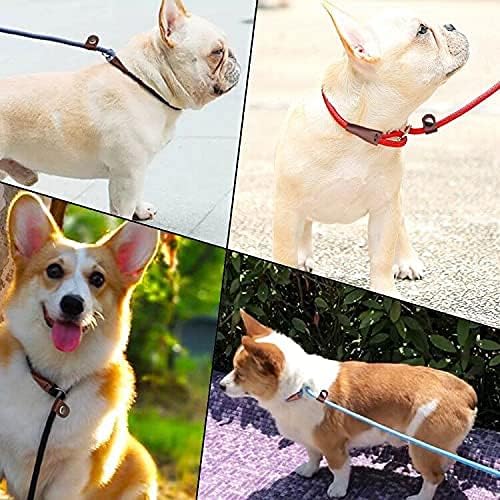MayPaw Slip Lead Control Leash for Dogs No Pull, 13+ Colors Classic Dog 7 FT Pet Slip Leash, 1/4” Rope Lead for Small Medium Animals (7ft*1/4", Yellow)