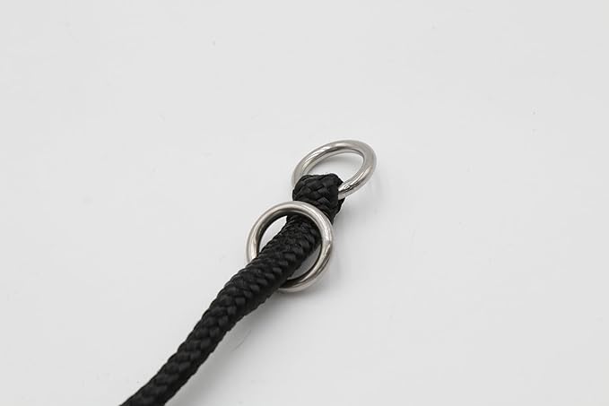 Leerburg 12" Dominant Dog Collar – Heavy Duty No-Pull Slip Training Collar for Aggressive or Reactive Dogs, Choke-Style Safety Design