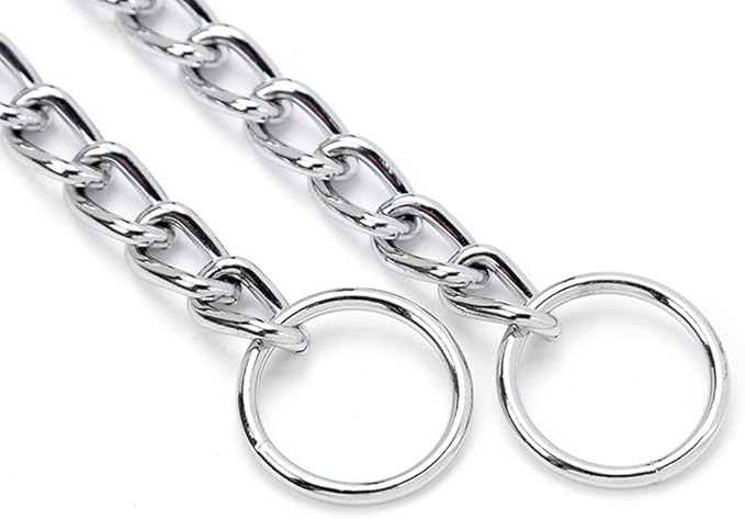 Slip P Puppy Chain Collar for Dogs, Metal Training Link Durable Martingale Collars for XXS XS Small Medium Large Breed Dogs, Silver Size L