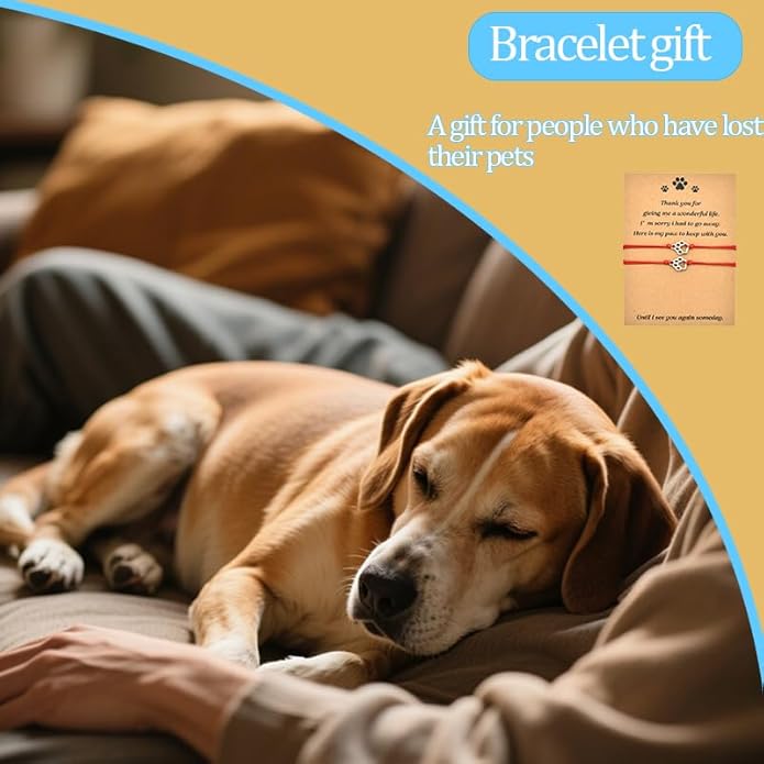 Memorial Bracelet for Pet Loss Sympathy Gifts Paw Print Friendship Bracelets for 2 Remembrance Gifts for Dog Cat Lovers
