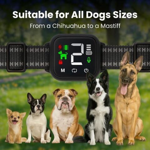 No Bark Anti-Bark Dog Collar, Smart Bark Control with 4 Modes, 8 Sensitivity Levels, Rechargeable for Dogs (Black)