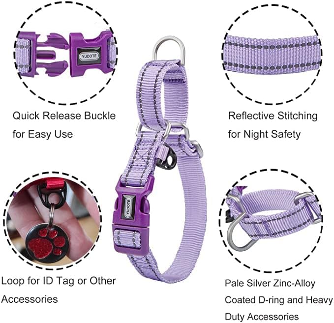 Martingale Collar Reflective Nylon Collar with Safety Quick Release Buckle,Escape-Proof Anti-Pull for Small Medium and Heavy Duty Dogs(Lilac,XS)