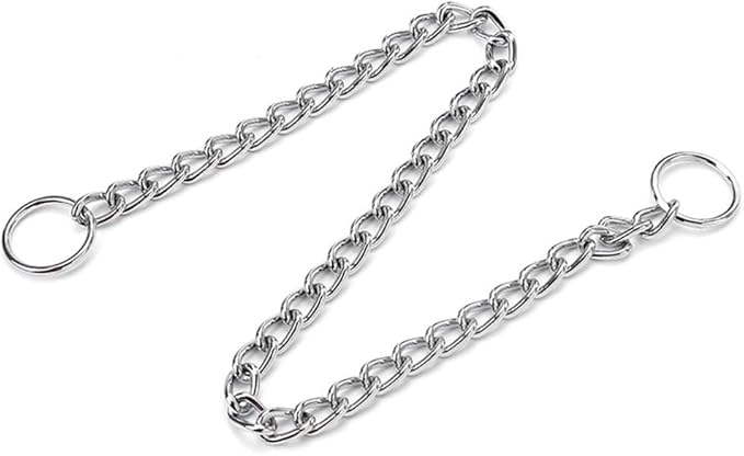 Silver Dog Choke Chain Collar,Metal Slip Link P Chain Training Heavy Duty Male Boys Martingale Collar Female Girls Puppy Collars for XXS XS Small Medium Large Big Breed,XXS