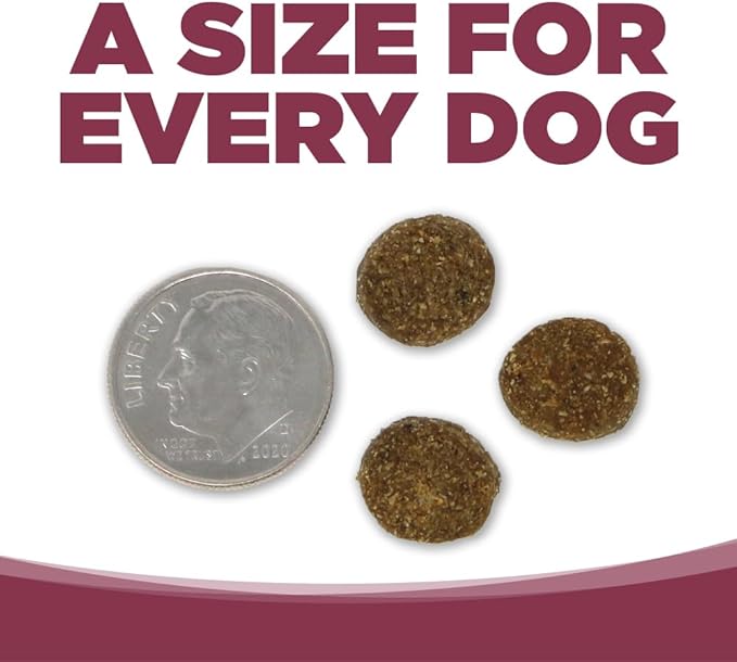 NutriSource Pure Vita Salmon & Kale Dog Food, 4LB