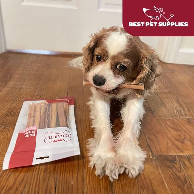 GigaBite Bully Sticks for Dogs All Natural Beef Pizzle Dog Chews, Odor & Rawhide Free Dog Treats, Long Lasting High Protein Chews Digestible Dental Dog Treat - Sticks (Regular 12"), Pack of 6