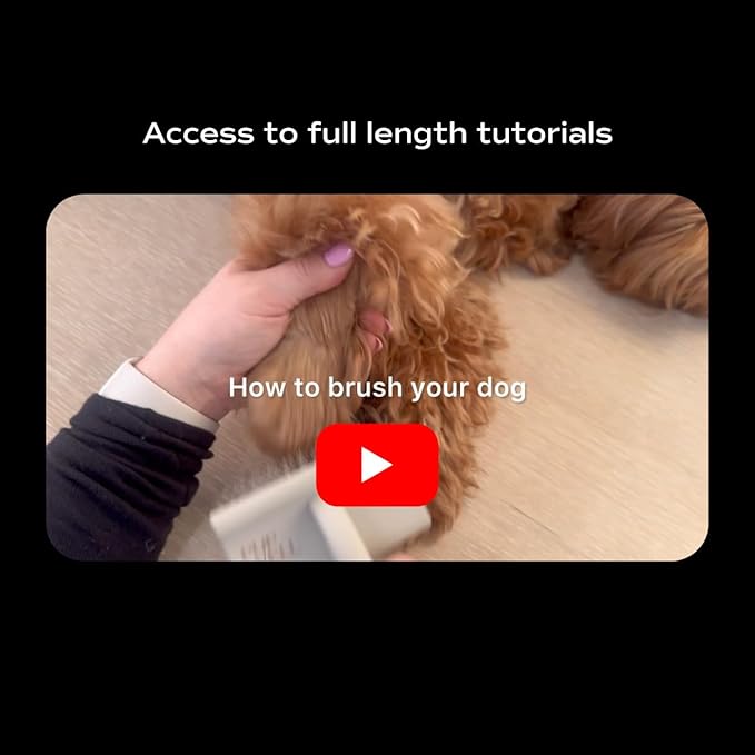 pupwell Slicker Brush for Professional and Luxury Dog Grooming to Prevent Matting with Dense and Extra Long Stainless Steel Pins (Goldendoodles, Labradoodles, Poodles)