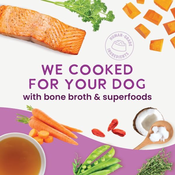 Health Extension Gently Cooked Grain-Free Salmon Dog Food, Human-Grade & Shelf-Stable with Superfoods, Supports Digestion, Immunity, Skin & Coat, 9 oz Pouch (Pack of 10)