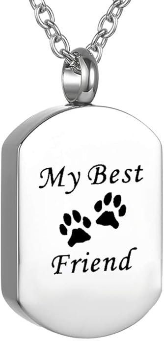 Cremation Jewelry for Ashes for Pet Stainless Steel Keepsake Waterproof Memorial Pendant Ash Holder Paw Print Urn Necklace for Cat Dog's Ashes with Filling Kit