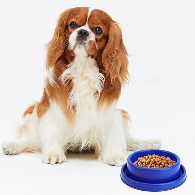 Ants Away Dog Bowl Cat Puppy Food Bowls Round No Spill Eating Feeder for Small Animals Brown M