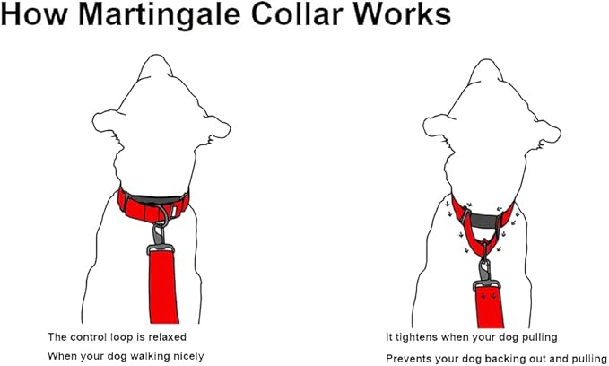 Reflective Martingale Collar for Dogs with Quick Snap Buckle Anti-Pull Nylon Safe Slip Collars for Easy Walking,Red,Large