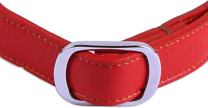 Love Dream Martingale Collars for Dogs, Leather Training Dog Collar, Stainless Steel Chain Anti-Escape No Pull Dog Collar for Medium Large Dogs (S(11.8"-16.9"), Red)