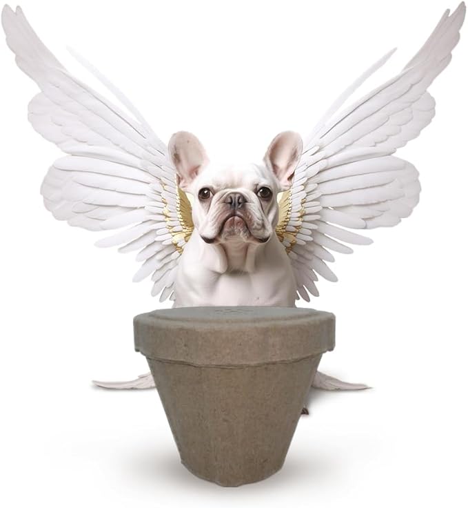 B Remembered Plantable Pet Ashes Urn - Eco-Friendly, 100% Biodegradable Molded Pulp,Grow a Memorial Plant(no Include the Seeds, is not a Neutralizer)