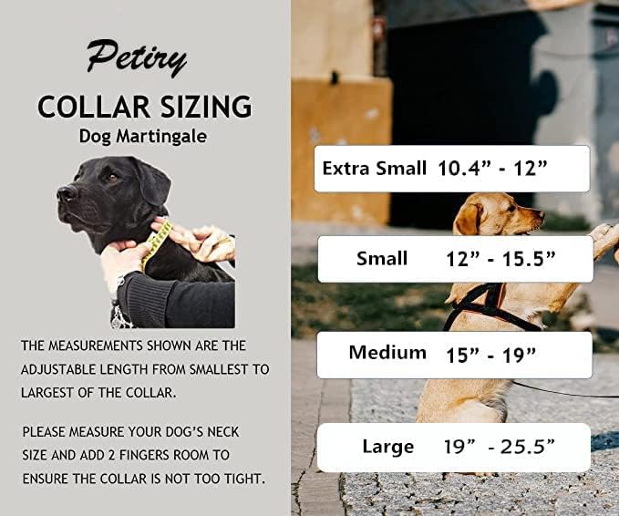 Martingale Collar Reflective Nylon Collar with Safety Quick Release Buckle,Escape-Proof Anti-Pull for Small Medium and Heavy Duty Dogs(Purple,XS)