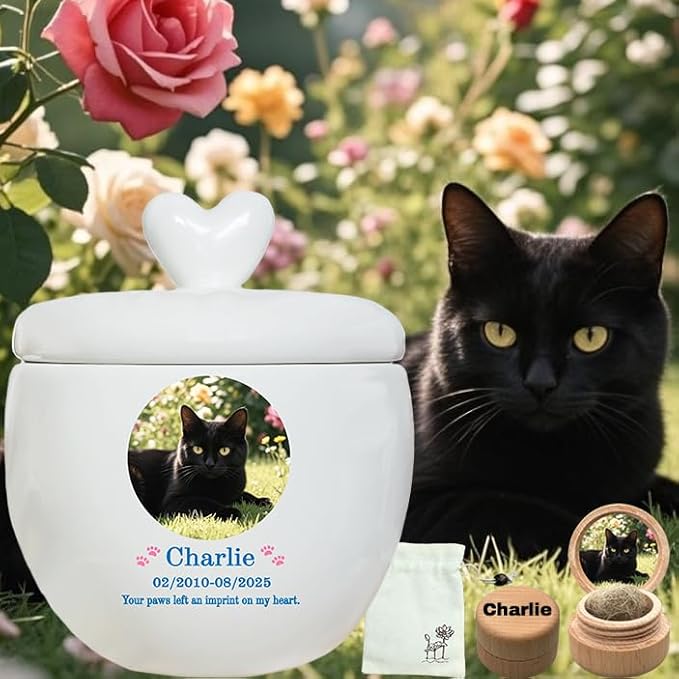 Personalized Pet Urn,Pet Urns for Dogs Cats,Pet Cremation Urn,Urns for Pet Ashes,Ceramic Urn,Dog cat Bird Rabbit urn,pet Loss, Handmade Custom. (Small,Suitable Ashes ≤22 lb (not Bones))