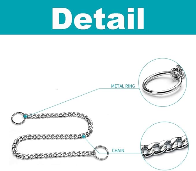 Flat Choke Chain for Dogs, Metal Slip P-Link Training Heavy Duty Dog Choke Collar Puppy Collars for Small Medium Large Big XL Breed Dogs, Silver L