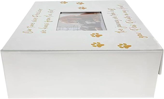 Pavilion Gift Company - Paw Prints On My Heart - Memory Box With 5" x 4" Photo Holder Loss Of Pet Cat Dog Bereavement In Memory