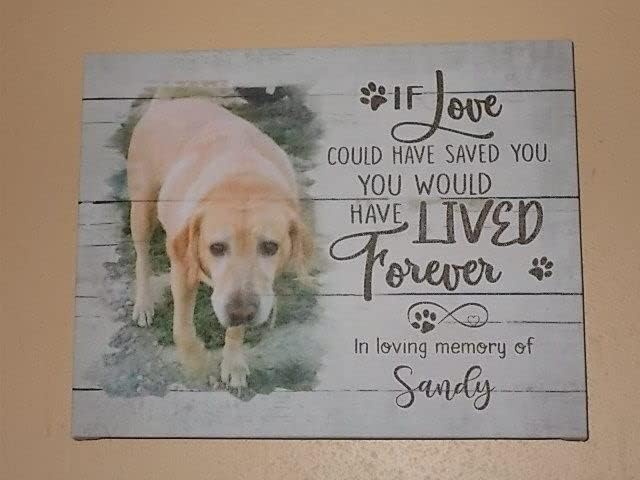 Benicee Shop Dog Remembrance Gifts, If Love Could Have Saved You You Would Have Lived Forever, Wall Decor 8x10 Inches