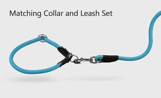 Dog Leash, Braided Rope Traction – Walking Training Lead for Medium/Large Dogs ((1/2") x 2FT, Light Blue)