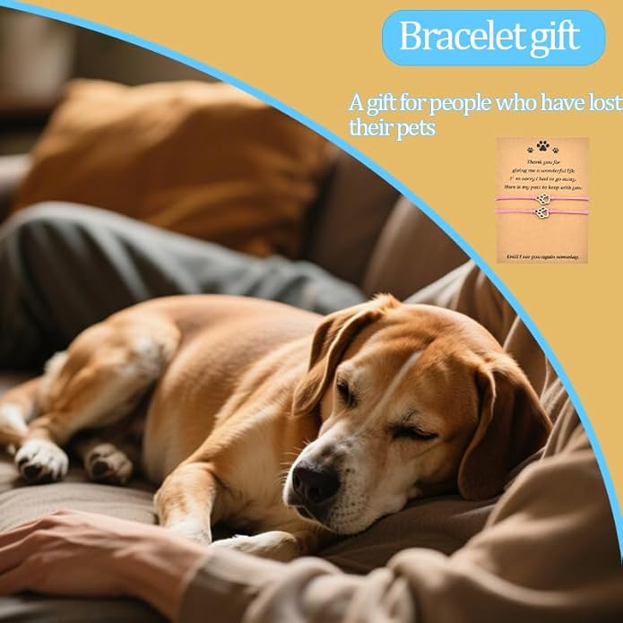 Memorial Bracelet for Pet Loss Sympathy Gifts Paw Print Friendship Bracelets for 2 Remembrance Gifts for Dog Cat Lovers