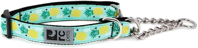 RC Pets 3/4" Martingale Training Collar, Small, Pineapple Parade