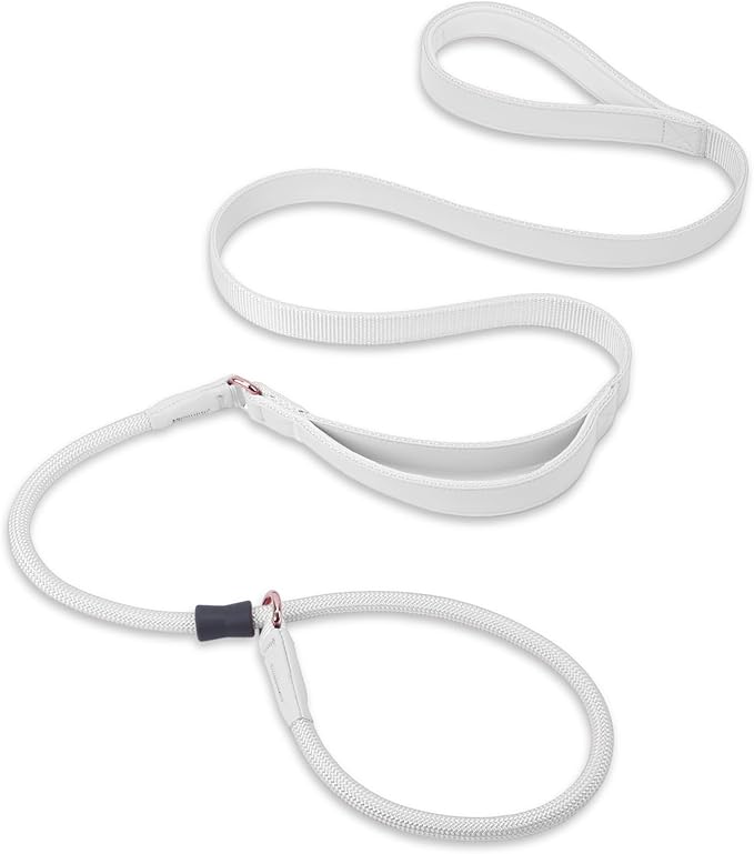 Slip Lead Dog Leash with Double Handle, Soft Leather Nylon Slip Collar, Heavy Duty Dog Rope Lead, No Pull Walking Leash for Medium Large Small Dogs, 6ft White