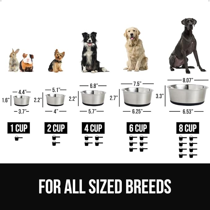 GORILLA GRIP Dog Bowl, Holds 2 Cups (16 fl oz), Food Grade 304 Stainless Steel Food and Water Bowl for Feeding Dogs and Cats, BPA Free Rubber Base, Easy Clean, Dishwasher Safe, Rust Resistant, Black