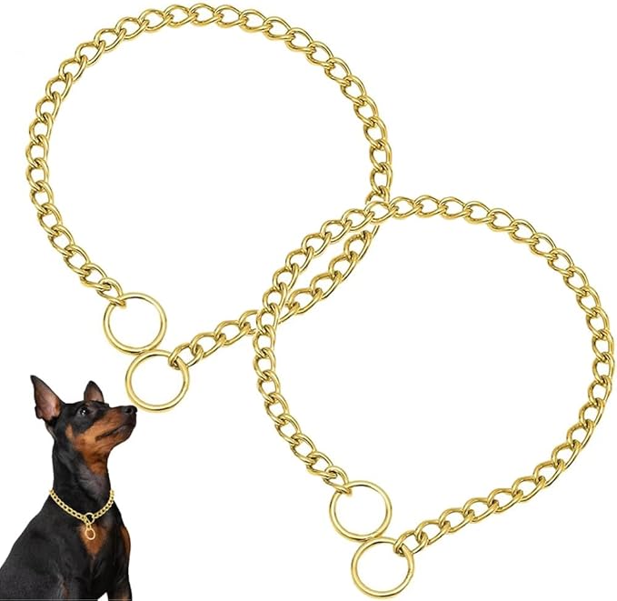 Gold Choke Chain for Dogs, 2Pack Heavy Duty Training Choker Collar for Dogs Metal Slip P Link Martingale Collars for XXS XS Small Medium Large Dog, XL