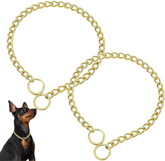 Gold Choke Chain for Dogs, 2Pack Heavy Duty Training Choker Collar for Dogs Metal Slip P Link Martingale Collars for XXS XS Small Medium Large Dog, XL