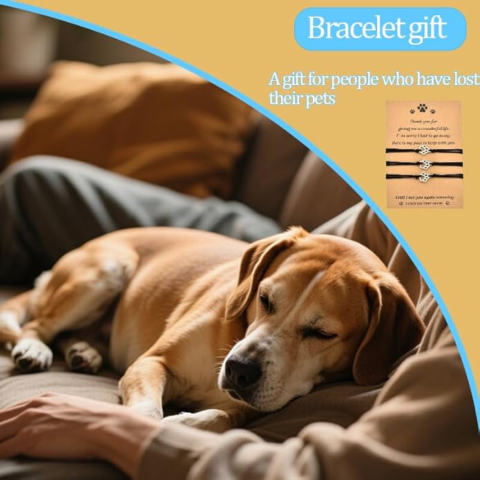 Memorial Gifts Bracelet for Pet Loss of Dog Sympathy Gift Paw Print Friendship Bracelets for 3 Bereavement Remembrance Gifts for Dog Lover Grieving Memory Gift for Cat Lovers Adjustable Bracelet
