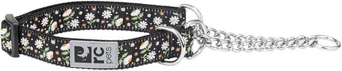 Training Collar | Daisies, Medium