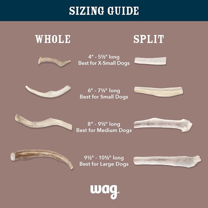 Amazon Brand - Wag Split Elk Antler, Naturally Shed, Long Lasting for Aggressive Chewers, X-Large (Best for Dogs over 45 lbs)
