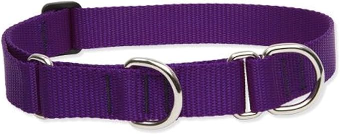 LupinePet Basics 1" Purple 19-27" Martingale Collar for Large Dogs