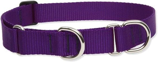 LupinePet Basics 1" Purple 19-27" Martingale Collar for Large Dogs