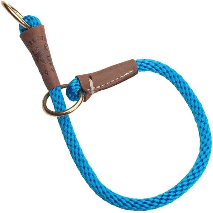 Mendota Pet Command Slip Collar - Dog Training Collar - Made in The USA - Blue - 22 in