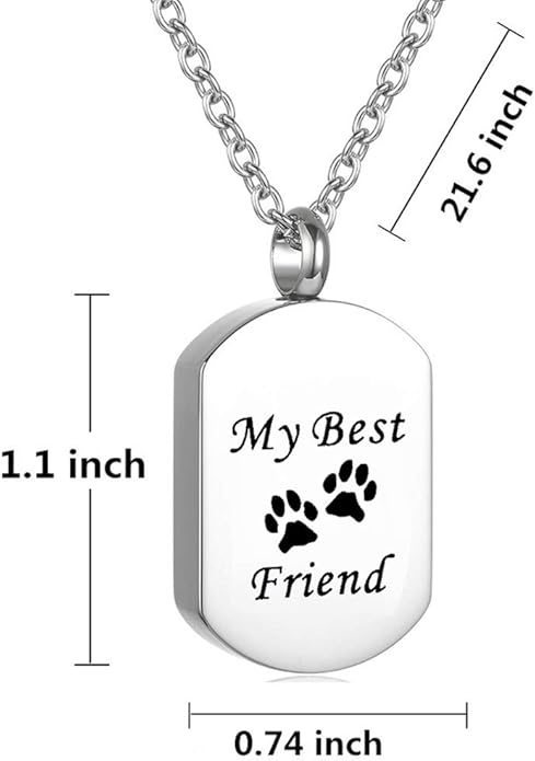 Cremation Jewelry for Ashes for Pet Stainless Steel Keepsake Waterproof Memorial Pendant Ash Holder Paw Print Urn Necklace for Cat Dog's Ashes with Filling Kit