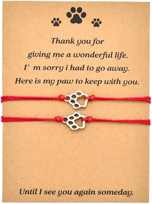 Memorial Bracelet for Pet Loss Sympathy Gifts Paw Print Friendship Bracelets for 2 Remembrance Gifts for Dog Cat Lovers